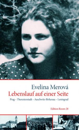 Lebenslauf auf einer Seite 