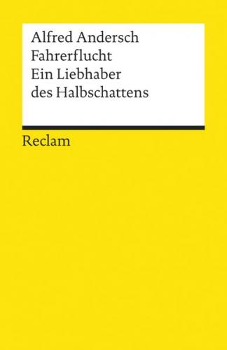 Fahrerflucht. Ein Liebhaber des Halbschattens 