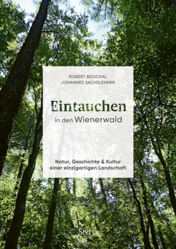 Eintauchen in den Wienerwald 