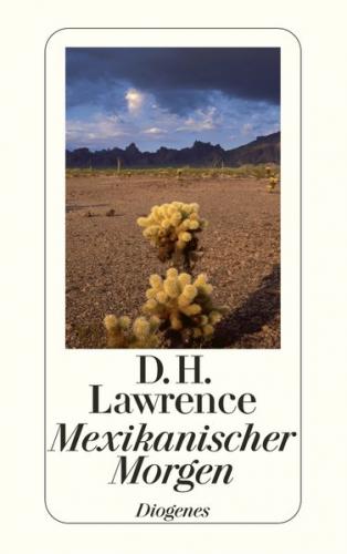 Mexikanischer Morgen 