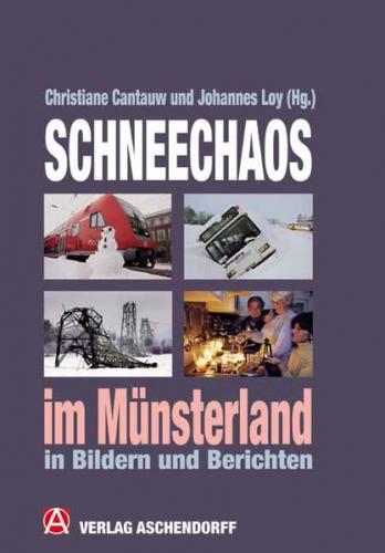 Schneechaos im Münsterland 
