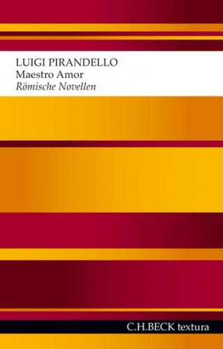 Maestro Amor 