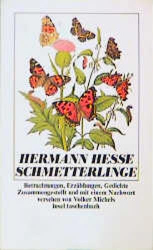 Schmetterlinge 
