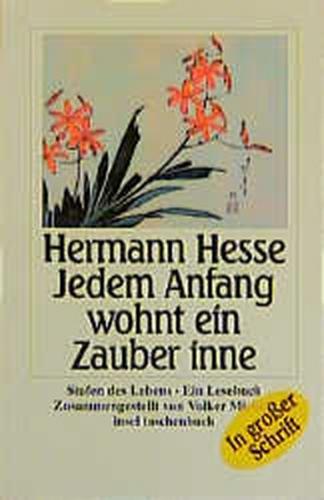 Jedem Anfang wohnt ein Zauber inne 