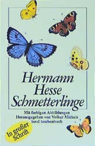 Schmetterlinge 