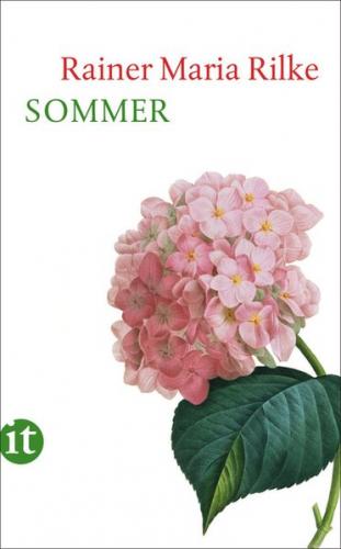 Sommer 