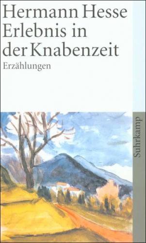 Erlebnis in der Knabenzeit 