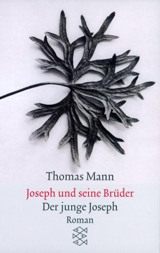 Joseph und seine Brüder II. Der junge Joseph 