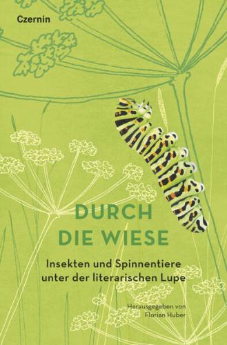 Durch die Wiese 