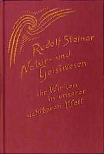 Natur- und Geistwesen - ihr Wirken in unserer sichtbaren Welt 