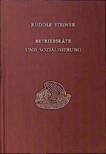 Betriebsräte und Sozialisierung 