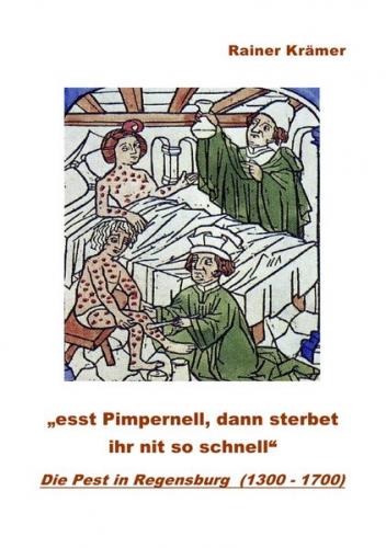 Die Pest in Regensburg (1300 - 1700) 