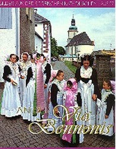An der Via Bennonis 