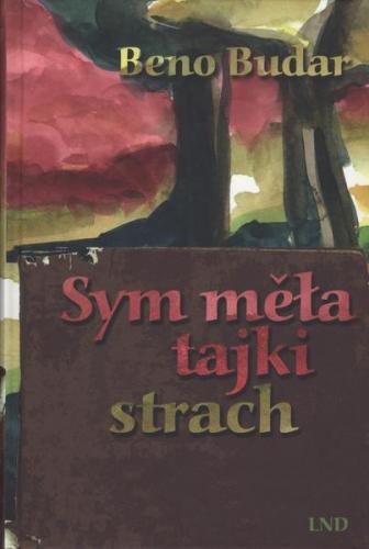 Sym měła tajki strach (Ebook - EPUB) 