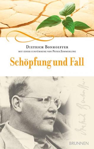 Schöpfung und Fall 