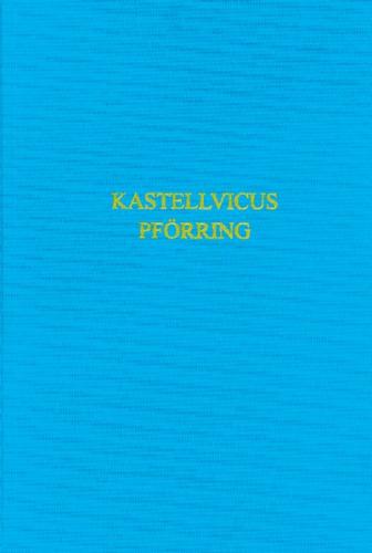 Der römische Kastellvicus von Pförring 