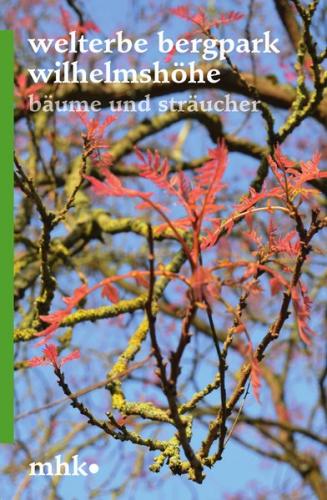 Welterbe Bergpark Wilhelmshöhe – Bäume und Sträucher 