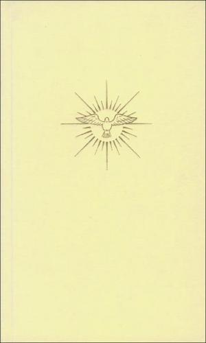 Pfingstgeist und Christentum 