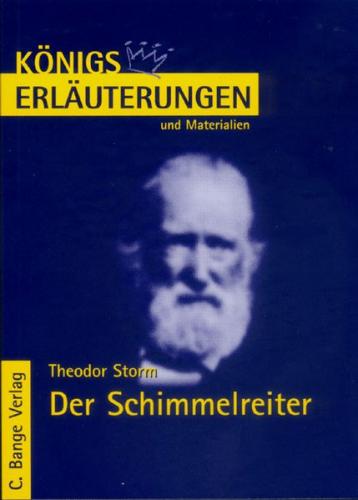 Storm. Der Schimmelreiter 
