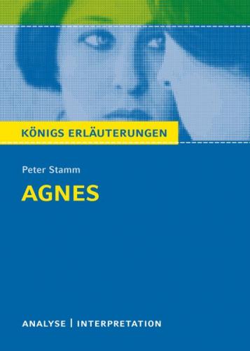 Agnes von Peter Stamm. 