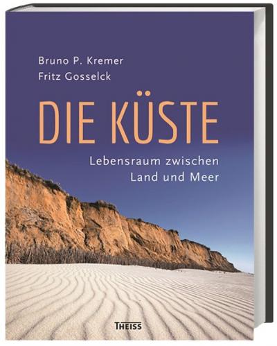 Die Küste 
