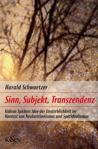Sinn, Subjekt, Transzendenz 