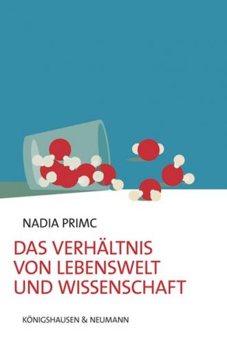 Das Verhältnis von Lebenswelt und Wissenschaft 