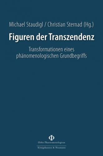 Figuren der Transzendenz 