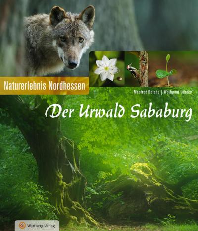 Der Urwald Sababurg - Naturerlebnis Nordhessen 
