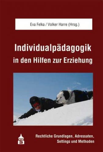 Individualpädagogik in den Hilfen zur Erziehung 