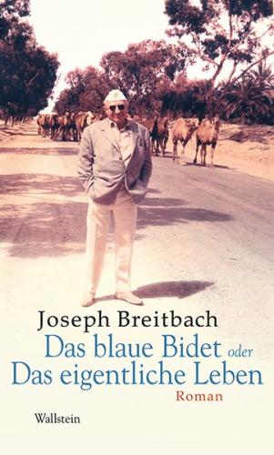 Das blaue Bidet oder Das eigentliche Leben 