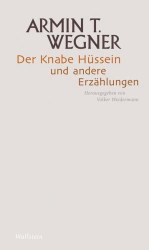 Der Knabe Hüssein und andere Erzählungen 