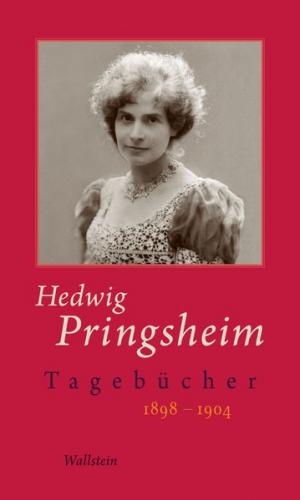 Tagebücher 