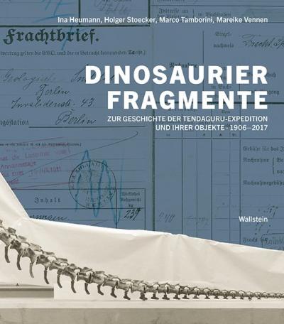 Dinosaurierfragmente 