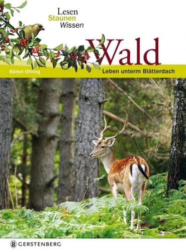Wald 