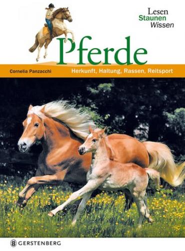 Pferde 