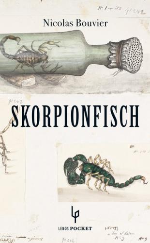 Skorpionfisch 