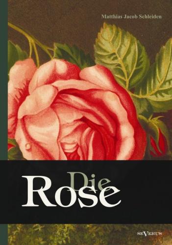 Die Rose: Geschichte und Symbolik in ethnographischer und kulturhistorischer Beziehung 