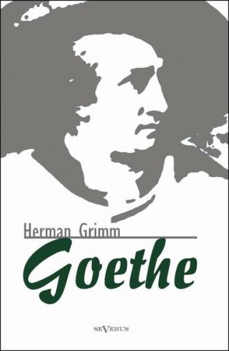 Goethe. Eine Biographie 