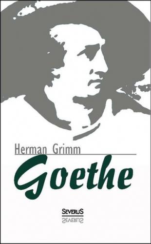 Goethe. Eine Biographie 