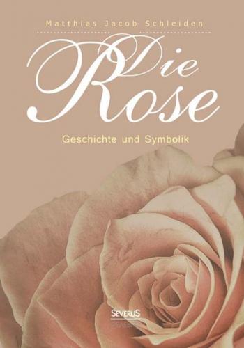 Die Rose: Geschichte und Symbolik 