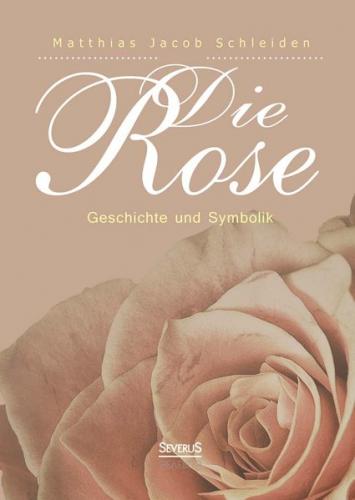 Die Rose: Geschichte und Symbolik 