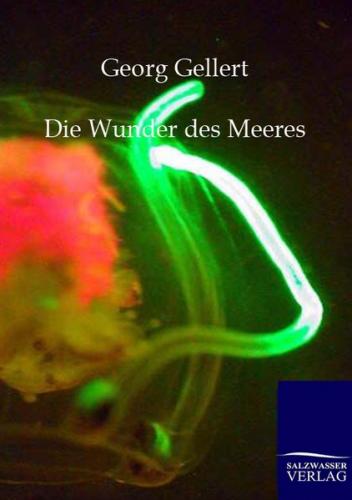 Die Wunder des Meeres 