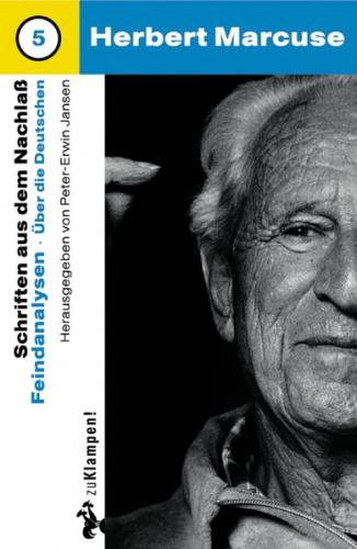 Nachgelassene Schriften / Feindanalysen (Ebook - EPUB) 