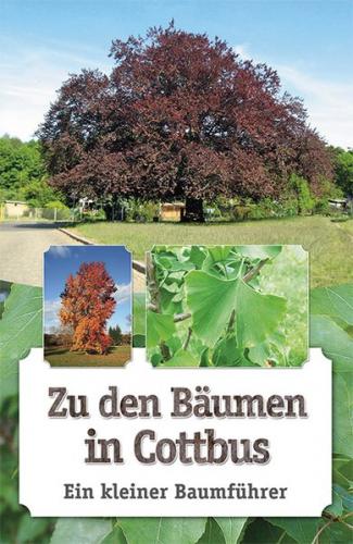 Zu den Bäumen in Cottbus 