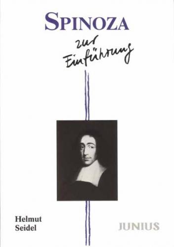 Spinoza zur Einführung 