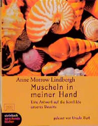 Muscheln in meiner Hand 