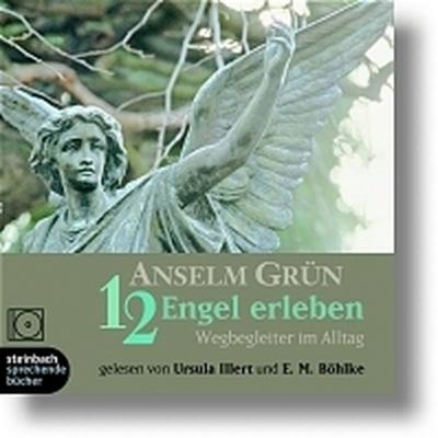 12 Engel erleben - Wegbegleiter im Alltag (Audio-CD) 