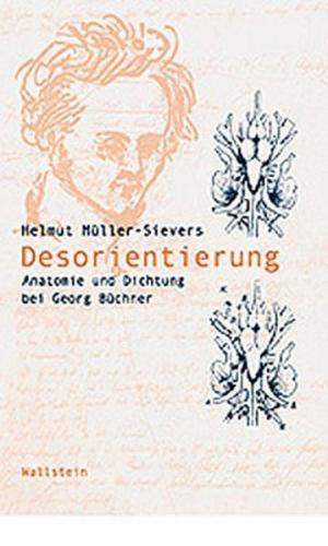 Desorientierung 