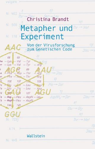 Metapher und Experiment 